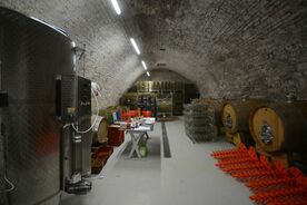 Tradice pěstování vinné révy a vinařství - galerie 8